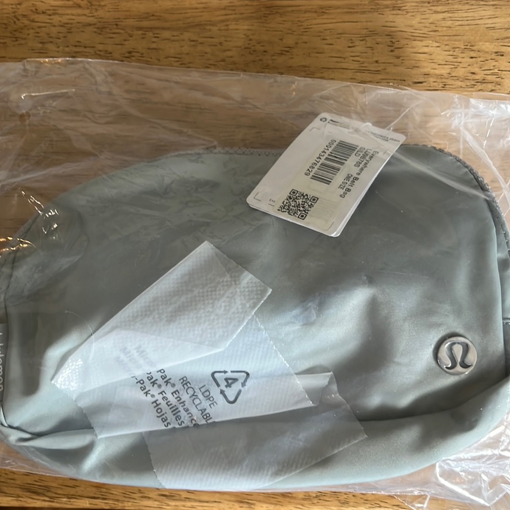 Everywhere belt bag